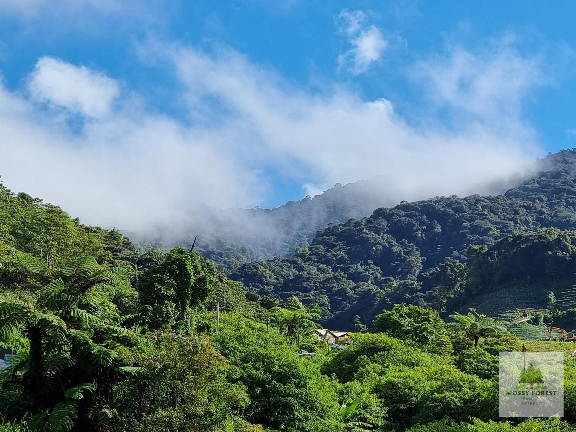 Mossy Forest Family Retreat Ii, 2-8 Pax, Cameron Highlands Exterior photo